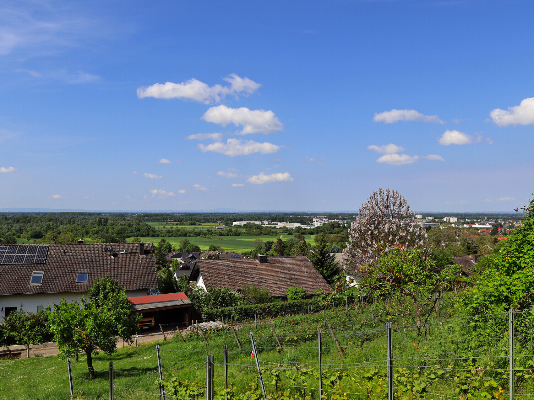 Immobilienmakler Bergstraße Bensheim Hanglage Grundstück verkaufen Immobilien